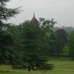a view downslope of green trees with boughs like spruces, green grass, grey sky and the top of a red tower behind the trees